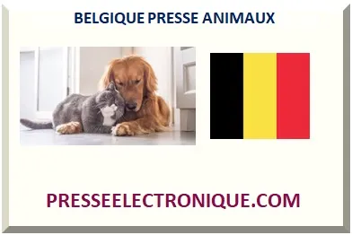 BELGIQUE PRESSE ANIMAUX